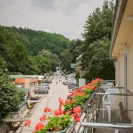 Izvori Apartment Gornja Trepca
